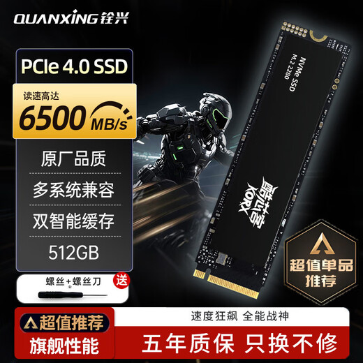 铨兴（QUANXING）酷芯客 512GB SSD固态硬盘 AI PC存储配件 M.2接口 2280（NVME协议）PCIe4.0 读速7000MB/s P402