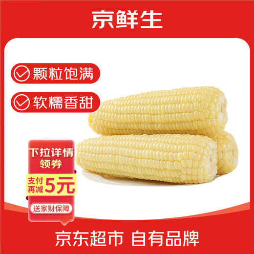Beijing Fresh Northeast White Waxy Corn 250g*10 Cobs Fresh Sweet Waxy Corn Cobs Vacuum Packaging Sticky Corn Straight from the Source