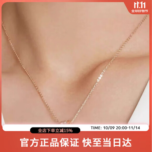 AJIDOU Ajidou Necklace Women's Fashion Versatile Small Waist Pendant Clavicle Chain Light Luxurious and High-end Birthday Gift for Girlfriend