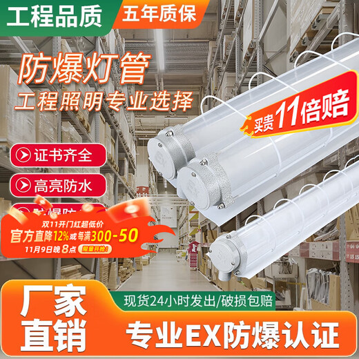 Deyan explosion-proof fluorescent lamp factory workshop lighting LED lamp explosion-proof lamp white light-1.2m double tube-40W*2