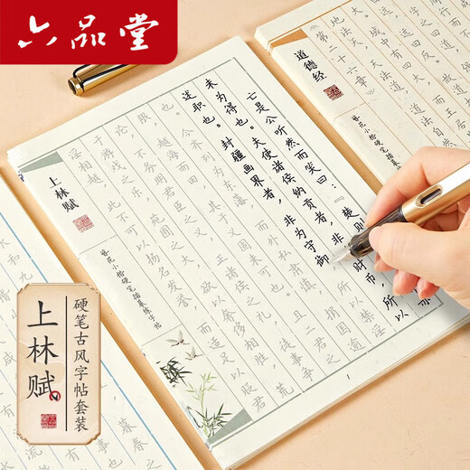Liupintang Tao Te Ching copybook adult practice Lin Fu copybook regular script copy calligraphy beginner handwriting set girls and boys Lanting preface hairpin flower small regular script hard pen