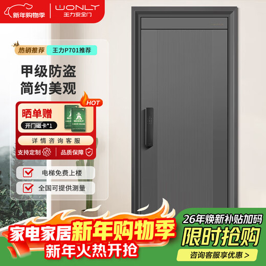 王力防盗门别墅大门4级家用安全门指纹锁子母门单门加高门头入户门P701