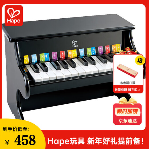 Hape (Germany) Boy Toy Girl Wooden Piano Instrument 25 Key Piano Black 3-6-12 Years Old Gift E8463