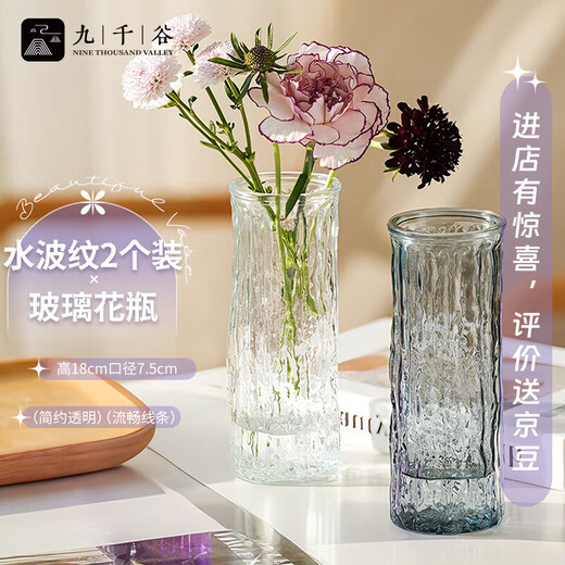 Jiuqiangu Vase Glass Vase Lucky Bamboo Vase Water Ripple Transparent + Gray Glass Vase Two Pack 0985