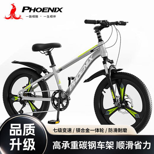 Phoenix Children's Mountain Bike 5-16 Years Old Girls and Boys Shock Absorbing Variable Speed 22 Inch Gray Suitable for Height 135-160cm