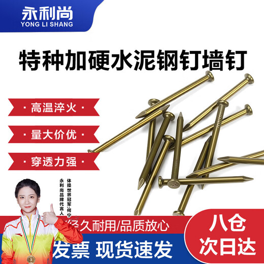 Yonglishang Nails Cement Nails Galvanized Steel Nails High Strength Wall Nails Concrete Carpentry Nails National Standard 350g Cement Steel Nails 50mm (about 80 pcs) 1 pack