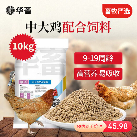 Hua livestock chicken feed, medium and large chicken pellet feed, rutin, eggs, chickens, ducks and geese, special chick opening feed premix, 1 bag, medium and large chicken feed, 20Jin, Jin is equal to 0.5kg