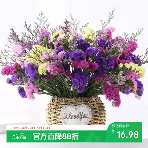AIMAN Yunnan Flowers Dried Flower Bouquet Forget-Me-Not Lover Grass Combination Starry Gypsophila Living Room Real Flower Arrangement Home Furnishings 4 Color Mix + Grass Approximately 30 Pieces Not Included in the Flower Basket