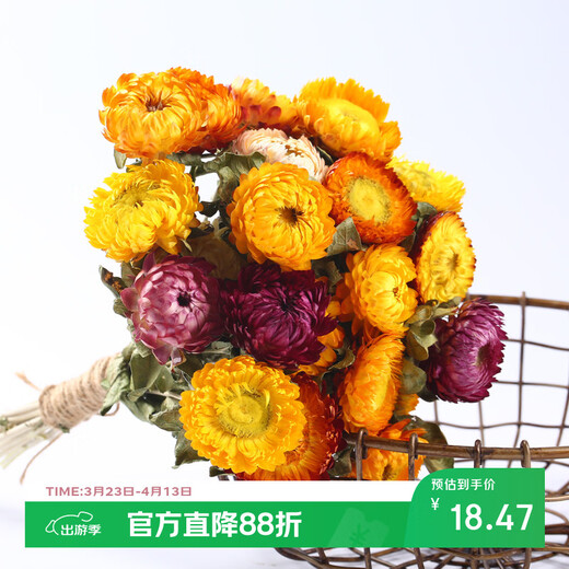 Aiman dried flowers, real flowers, Yunnan straw chrysanthemums, small daisies, natural air-dried bouquets, flower arrangements, internet celebrity decorative ornaments, wheat straw chrysanthemums, colorful bouquet (20 flowers), dry branches
