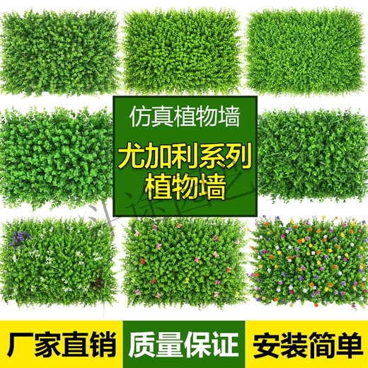 Doutu Gardening green plant wall simulated plant turf wall decoration indoor background flower wall green wall hanging plastic fake lawn door head broad-leaf grass