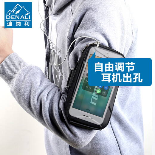 FREESCOPE running mobile phone arm bag, universal sports mobile phone arm bag for men and women, fitness running mobile phone bag, wrist arm bag, passing shot, small size (under 5 points and 2 inches)