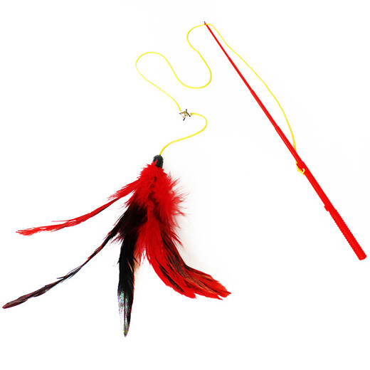 Cat Toy Cat Playing Rod Wire Cat Playing Rod Bell Feather Cat Playing Rod Pet Cat Toy Kitten Kitten Interactive Supplies Fishing Rod Cat Playing Stick
