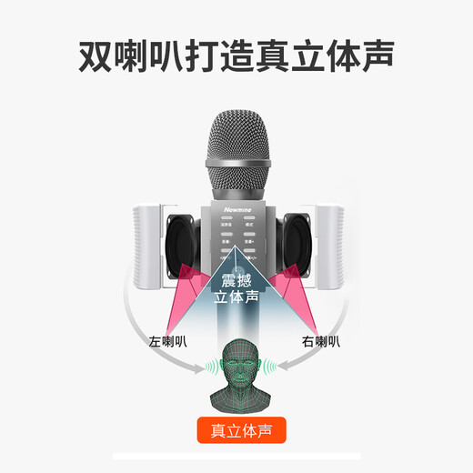 Newmine MC10 Wireless Microphone, Karaoke Microphone and Audio All-in-one Comes with Sound Card, Radio Microphone, Little Bee Amplifier Explainer, Bluetooth Singing Entertainment Artifact Treasure, Silver