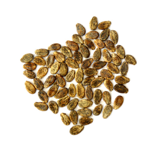 Zhongke Maohua Fruit Seeds Desert Eagle Watermelon Seeds Large Fruit Double Red Flesh Jincheng No. 5 Type Planted in Inner Mongolia and Xinjiang Watermelon Seeds 10g