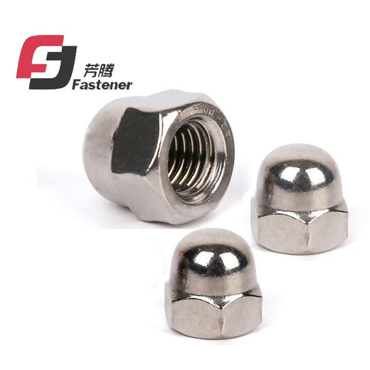 Fangteng 304 stainless steel DIN1587 cap nut M3-M24 ball head decorative nut cap nut fine tooth reverse tooth M10 (2 pieces)