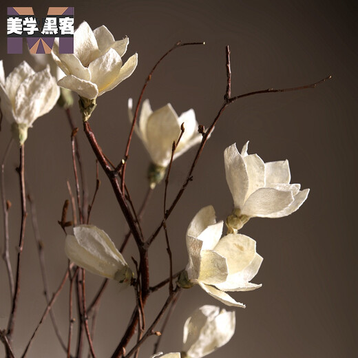 Aesthetic hacker Magnolia dry branches flower bouquet dry branches tree decoration magnolia flower bedroom living room floor natural jade white single branch