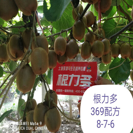 Genliduo nitrogen, phosphorus and potassium compound fertilizer for flowers, vegetables and fruit trees, agricultural fertilizer, added microbial organic matter, 4.5 kg in bulk