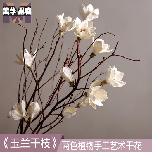 Aesthetic hacker Magnolia dry branches flower bouquet dry branches tree decoration magnolia flower bedroom living room floor natural jade white single branch