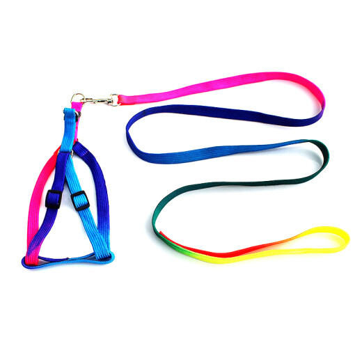 Ring pet interstellar cat leash Teddy dog ​​leash seven-color dog harness dog chain dog rope