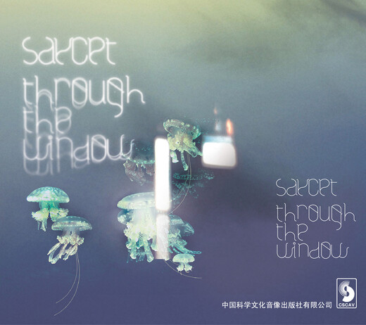 Französische psychedelische elektronische Band Saycet-Through das Fenster (CD) (JD.com Exklusiv)