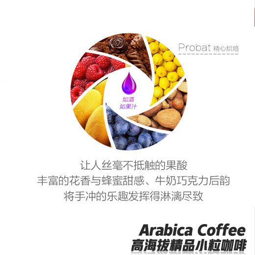 Café mediano en granos de café, procesado con miel negra/secado al sol/Typica Master Set 681G, 1 bolsa de cada uno de granos de café Typica/procesados ​​con miel/secados al sol (sin moler)