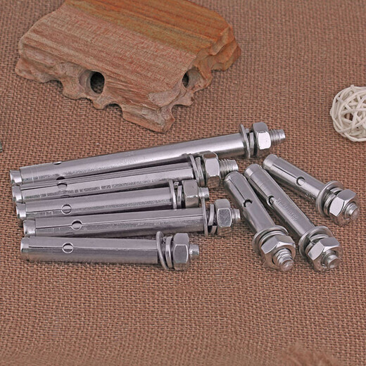 Bairuite (bairuite) 304 stainless steel expansion screw pull explosion screw 316 lengthened expansion bolt lifting explosion expansion pipe screw M8*100 5 capsules 304