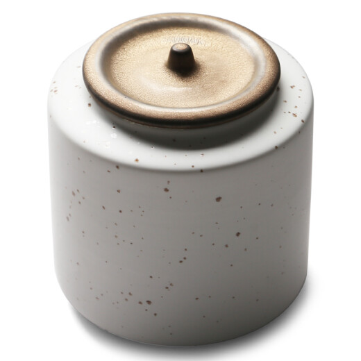 SUSHICERAMICS tea can, fashionable matte rust tea set accessories (white)