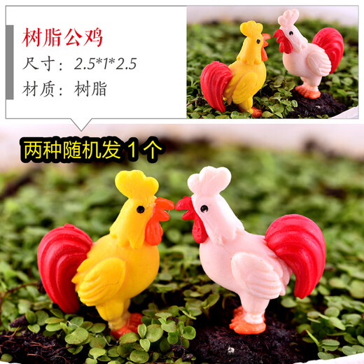 Shiguang Station rockery bonsai ornaments decorative absorbent stone fish tank aquarium landscaping micro landscape fisherman's small house ornaments resin rooster