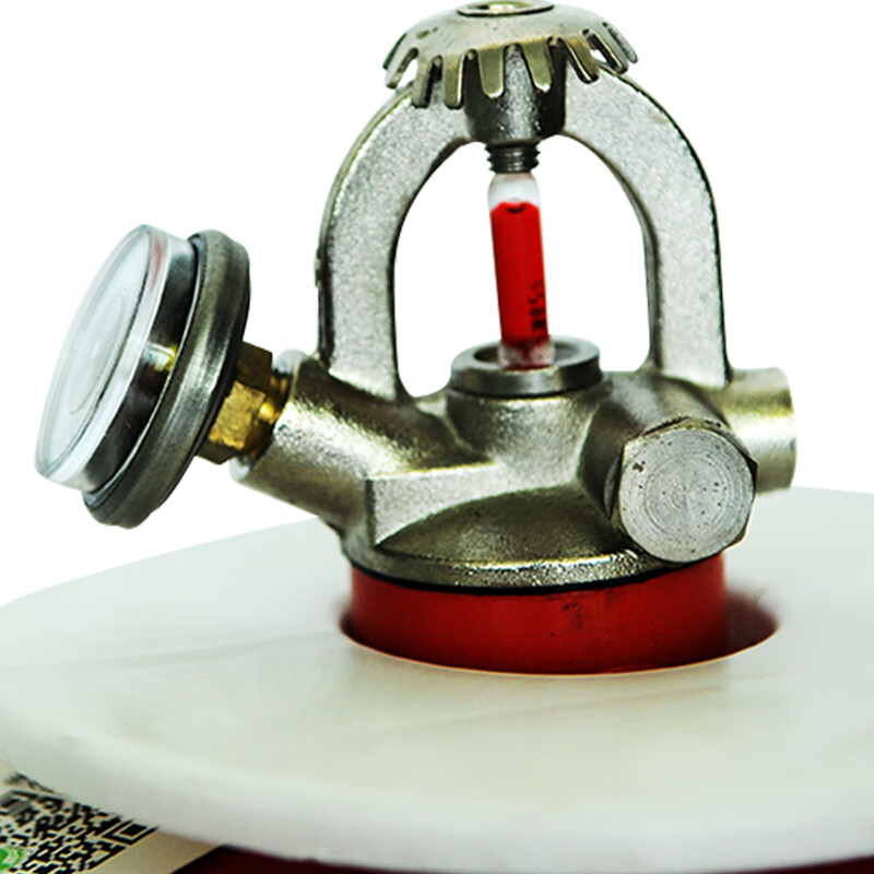 Jiangjing hanging dry powder fire extinguisher 4 6 8 10 kg hanging temperature sensing and constant temperature automatic fire extinguisher device 4kg dry powder FZX-APT4/1.2