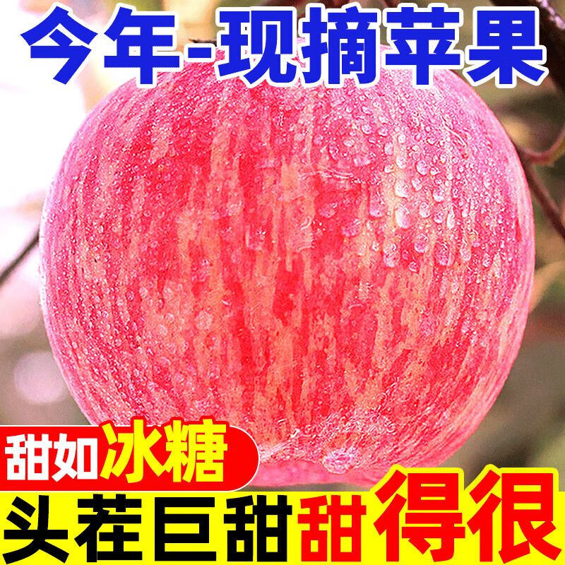 Erdie Shaanxi Red Fuji Apple Fresh Fruit 10kg Rock Candy Heart Seasonal Ugly Apple Seasonal Fruit Crisp Sweet Whole Box Selected 3kg Pack Net Weight 2.8kg 70-75mm