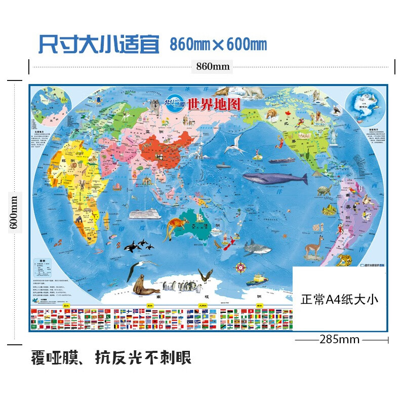 Beidou Map China Map + World Map (Set of 2 sheets with tear-resistant film, special wall charts for children's rooms aged 3-10, wall stickers, floor maps, family education parent-child enlightenment maps, extracurricular reading) Extracurricular books, extracurricular independent reading, holiday reading? 3-6 years old, money saving card