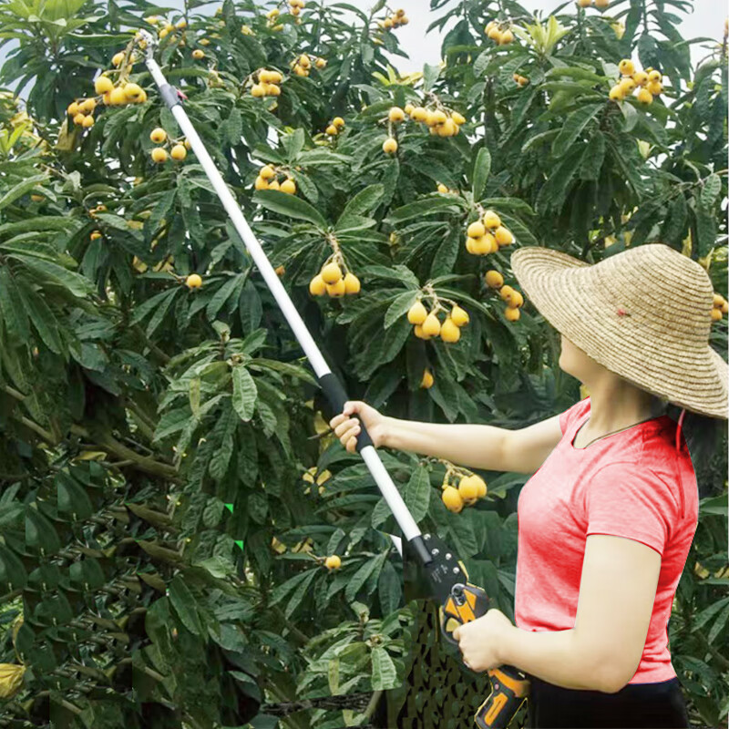 Jiehong's fruit-picking artifact, telescopic high-branch shears, high-altitude shears for gardens, special for picking lychees, longans, toon, fruit-picking scissors, lithium-ion fruit-picking pruning shears 130-2 meters