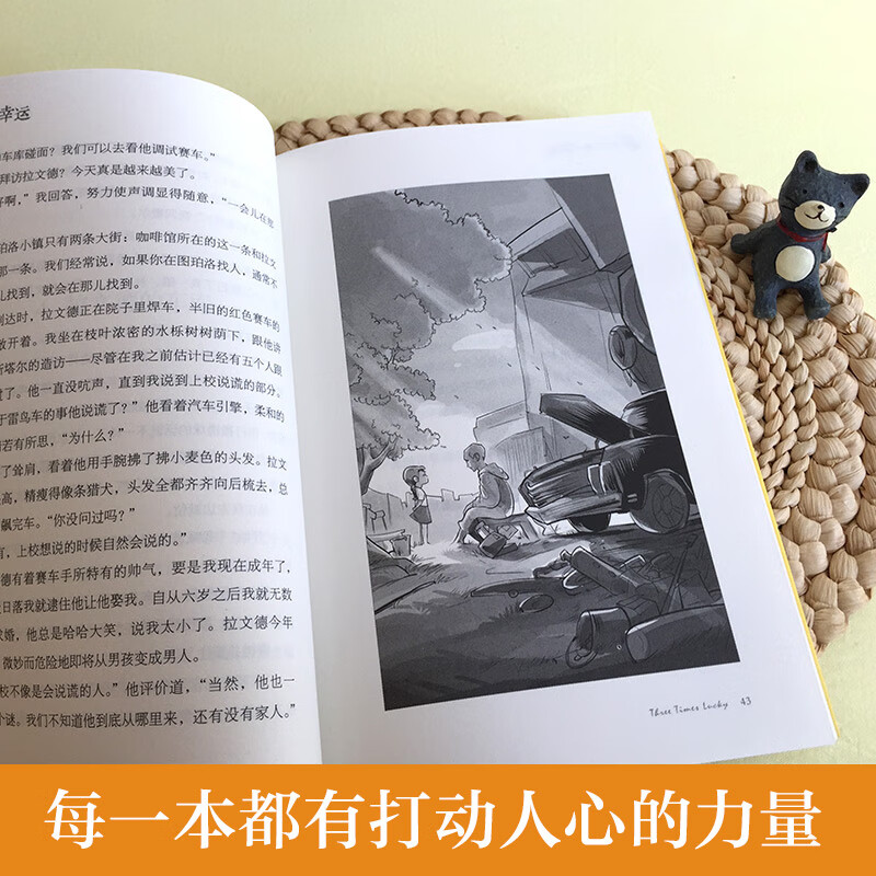 The Ivy League International Prize novel Lucky Falling from the Sky, Newbery Children's Literature Award Silver Award, love, self-growth, reasoning and other themes must-read for primary and secondary school students in grades 3, 4, 5 and 6, International Children's Literature Award classics extracurricular reading that affects children's lives.