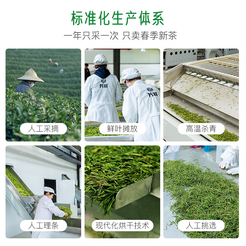 Fangyu Anji White Tea Premium Five Diamond Mingqian Green Tea 250g New Tea New Year's Gift Tea Gift Box Tea