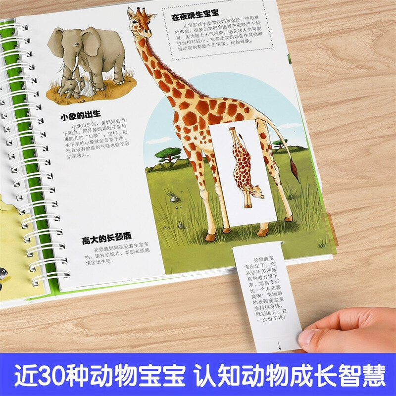 Our Animal Kingdom three-dimensional book is a fun children's book for children aged 3-6 years old, a popular science three-dimensional interactive flip book for young children, an early education animal world picture book