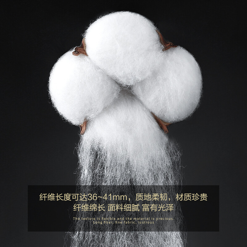 Langsha Socks Men's 10 Pairs Autumn and Winter Xinjiang Cotton Socks Men's Mid-Tube Business 10A Grade Antibacterial and Deodorant Men's Socks Breathable Long Socks