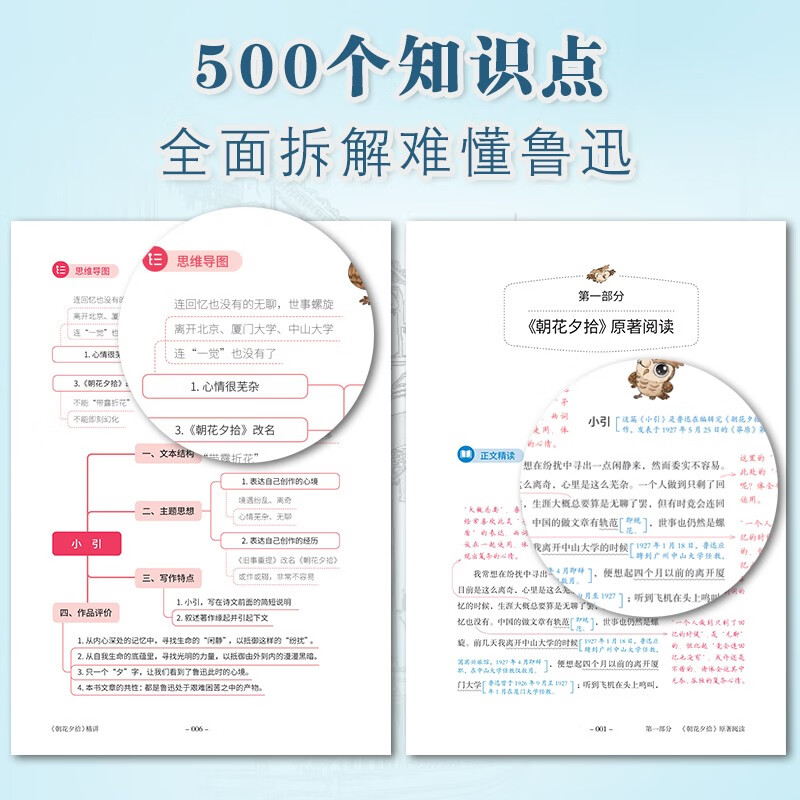 Picking Up Flowers in the Morning and Evening, a detailed explanation of the classics by the famous Haidian teacher Guo Guo, reading recommended books, unabridged version