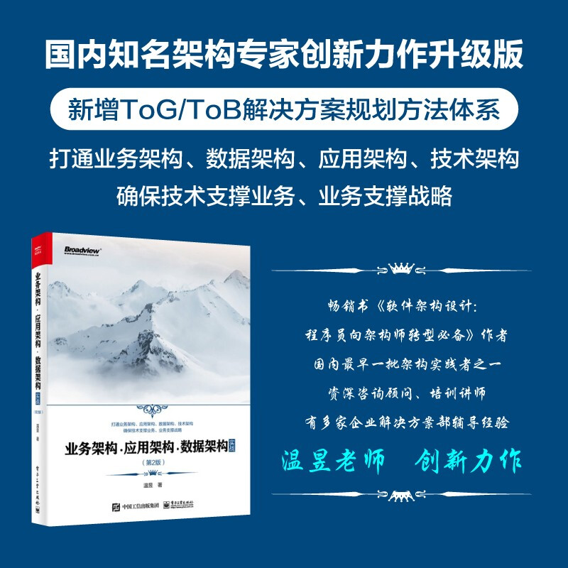 Business Architecture Application Architecture Data Architecture in Practice (2nd Edition)