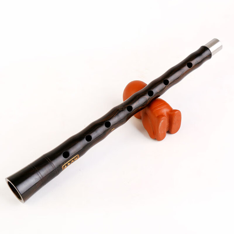 HongYiFengMing (HongYiFengMing) Ebony D Key Golden Bowl Beginner Adult Introduction General Teaching Music Score Suona Complete Set