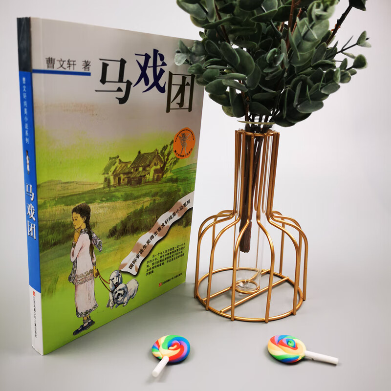 Cao Wenxuan's Pure Novel is the representative work of Cao Wenxuan's short story collection from Circus/International Hans Christian Andersen Award winner. It combines a variety of writing styles and multiple writing themes. It is rich and pure, both elegant and powerful.