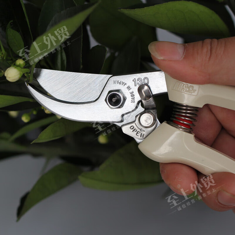 Alice (ARS) Alice pruning shears 130DX garden gardening scissors hand pruning fruit tree pruning shears package 3130DX ivory white + spring + love