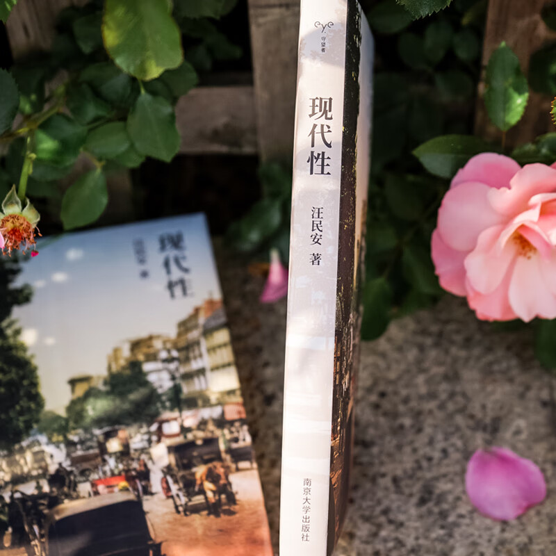 Watchman Book Series Modernity