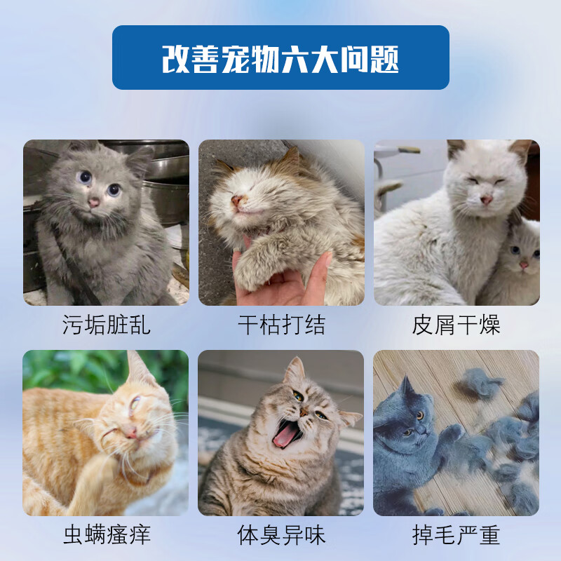 REICHOLD British Cat Smooth Shampoo 500ml Adult and Kitten Antibacterial Hypoallergenic Fluffy Hair Beauty Pet Shower Gel