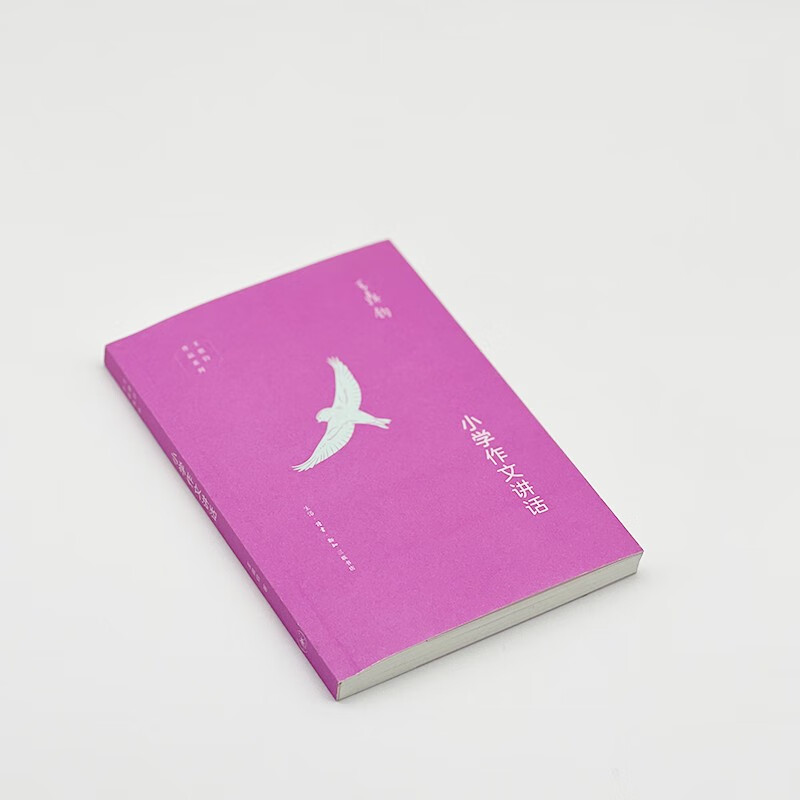 Wang Dingjun's Six Composition Books Primary School Composition Speech