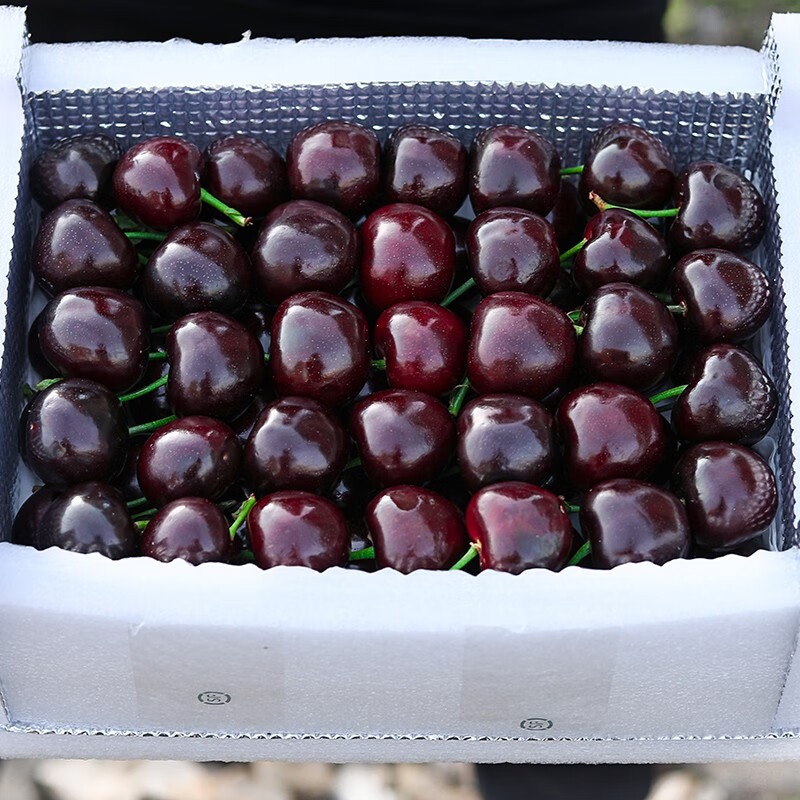 Spot Meizao cherry large cherry fresh Chilean imported cherry fruit seasonal gift box for pregnant women 1500g (net weight) large fruit J26-28mm