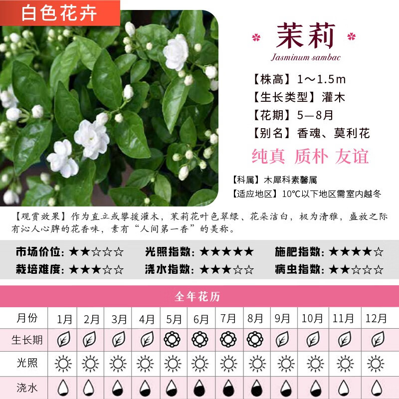 Planting flowers and grass, garden flower planting and color matching, flower gardening cultivation, planting and maintenance, color matching, courtyard greening, novices to grow flowers in all seasons, learn to grow flowers with zero basic knowledge