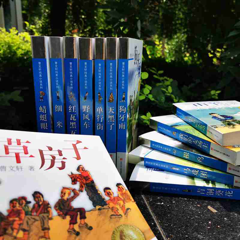 The complete collection of Cao Wenxuan's pure and beautiful novels (a set of 14 volumes in total)/a collection of peak works that represent the style and taste of Cao Wenxuan, the winner of the International Hans Christian Andersen Award. The complete version has been sold for more than 20 years. It is recommended reading by front-line teachers all over the world. It has diverse styles and rich themes, and details the colorful growth and life of teenagers. Money-saving card