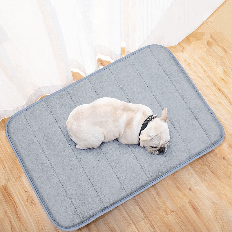 Pilot Pet Dog Mat Cat Dog Nest Sleeping Mat Mattress Spring, Summer, Autumn and Winter Four Seasons Special Floor Mat Supplies 40*60cm