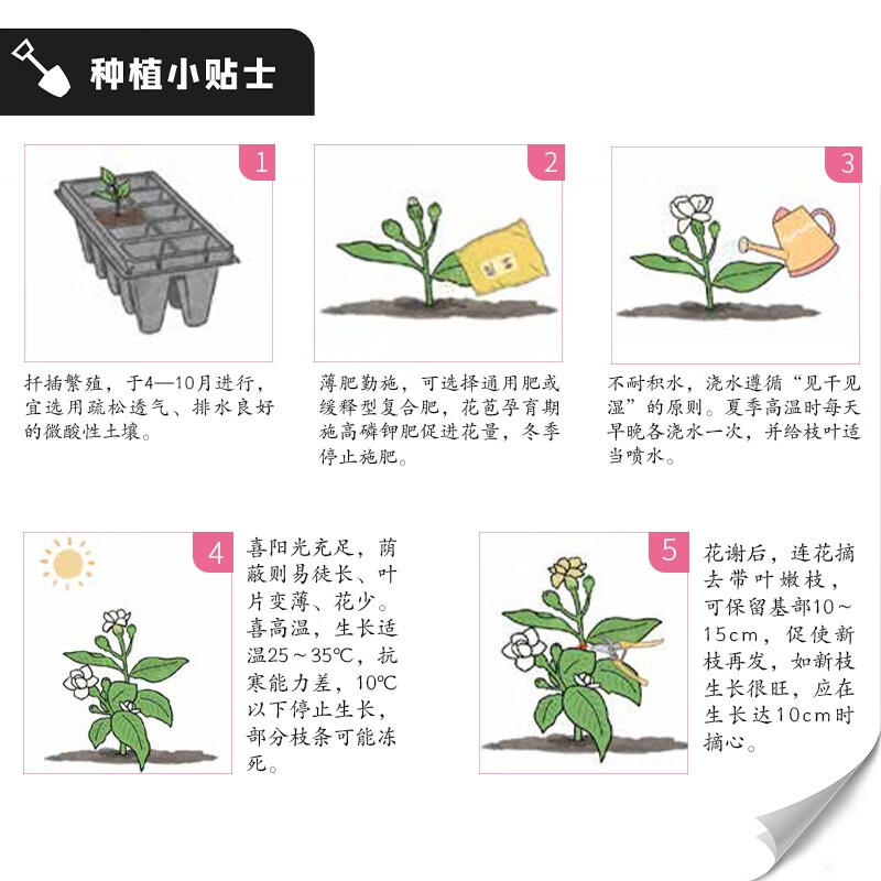 Planting flowers and grass, garden flower planting and color matching, flower gardening cultivation, planting and maintenance, color matching, courtyard greening, novices to grow flowers in all seasons, learn to grow flowers with zero basic knowledge