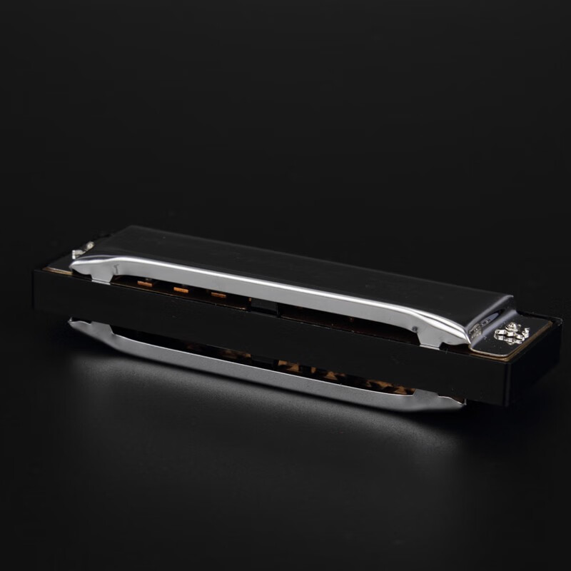 Swan Blues Harmonica Diatonic Blues Ten Holes Twelve Keys Complete Set for Beginners and Students Beginners' Introductory Practice 10 Holes A Flat